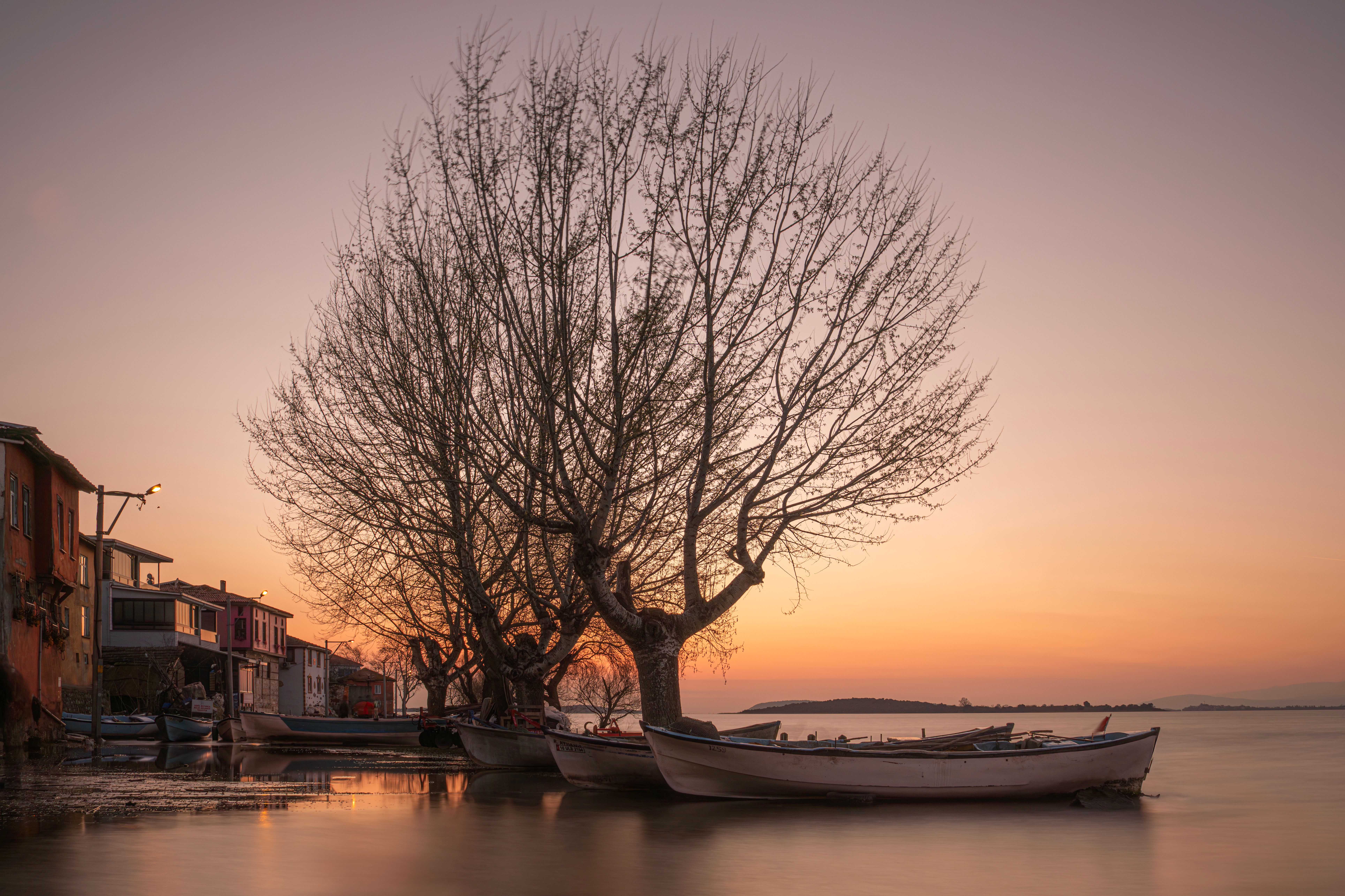 Tranquil scene of boats by a tree at sunset on Lake Ulubat in Golyazi, Bursa.