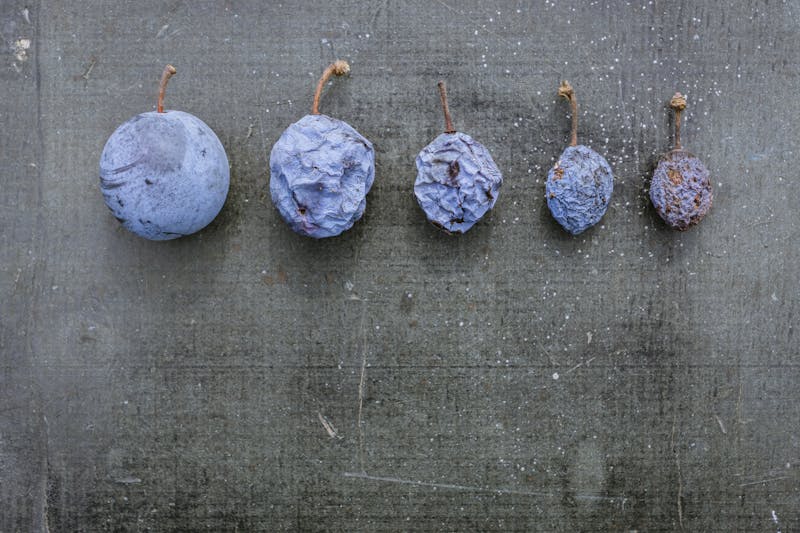 Guía básica del paracetamol