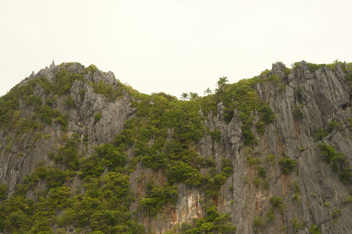Palawan culture