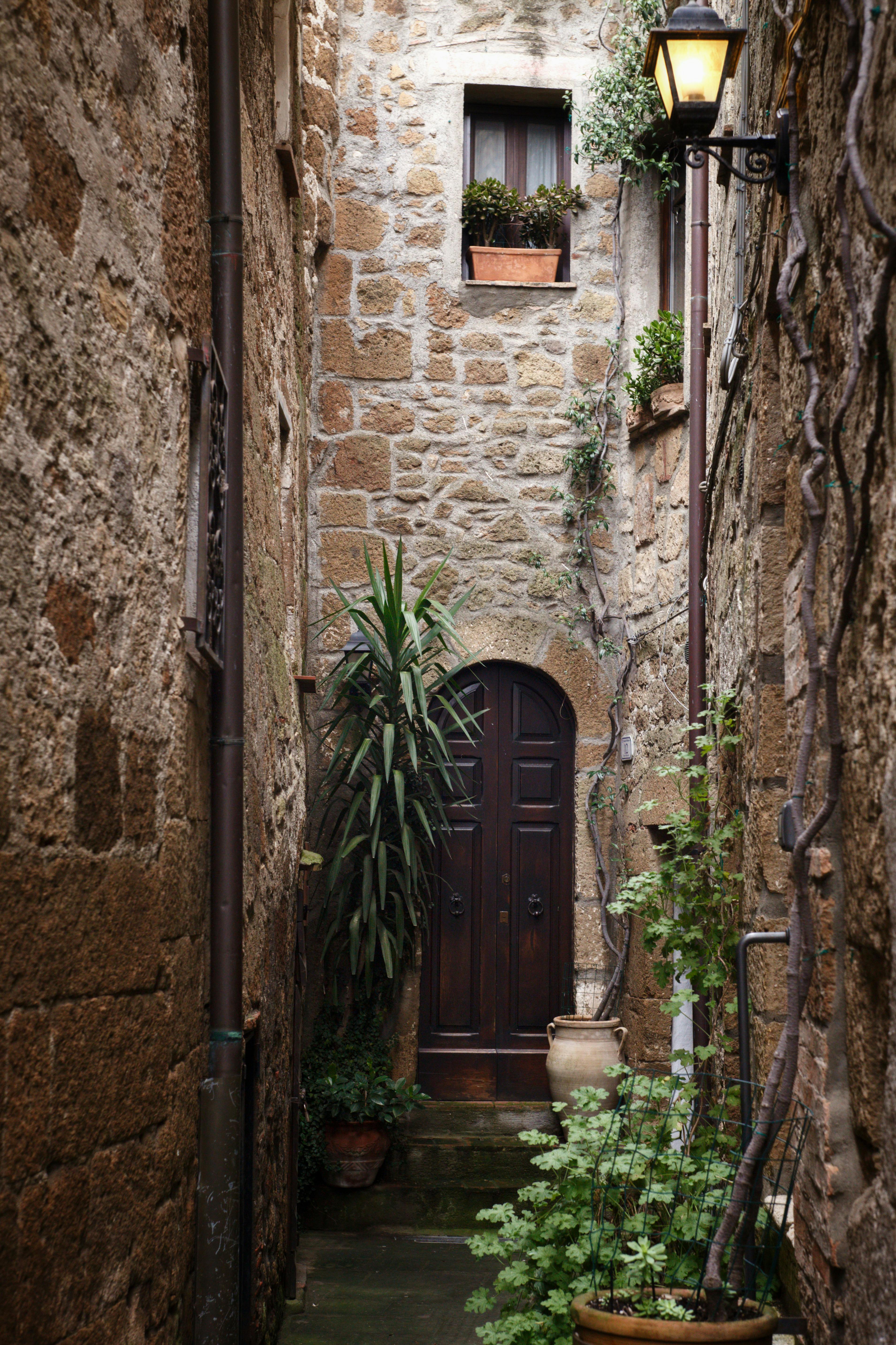 Ingyenes stockfotó antik, bejárat, borostyán témában Stockfotó