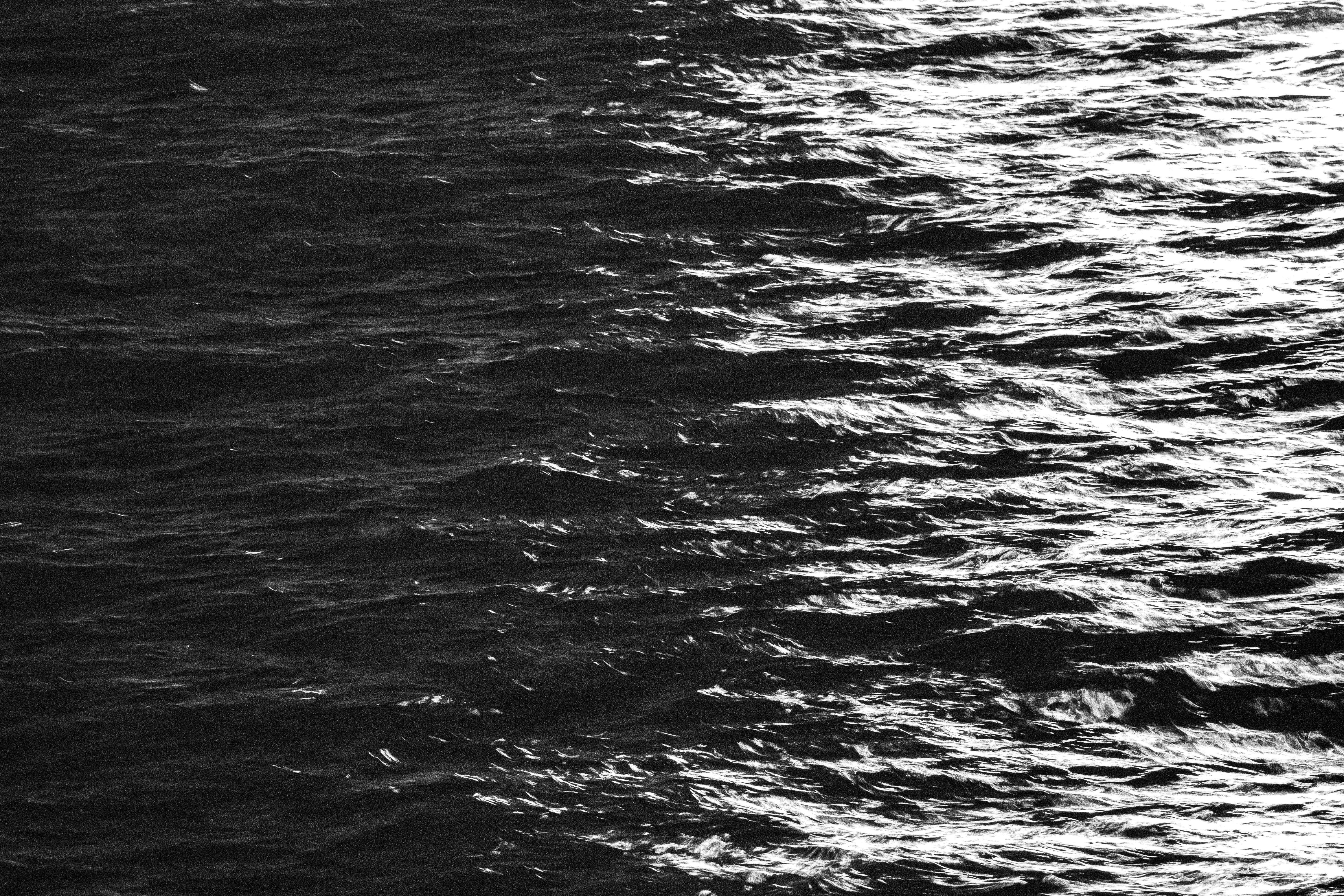 Gratis Immagine gratuita di acqua, acquatico, ambiente Foto a disposizione