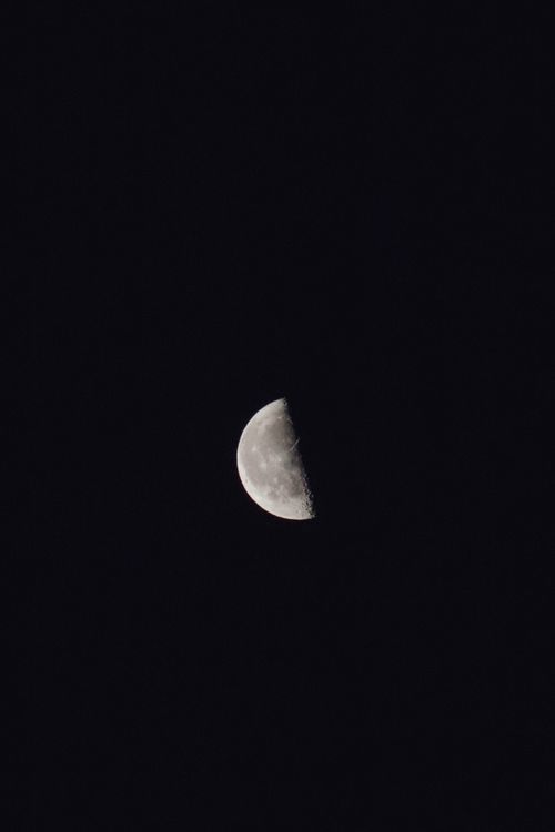 Free A clear view of the half moon in a dark night sky. Stock Photo