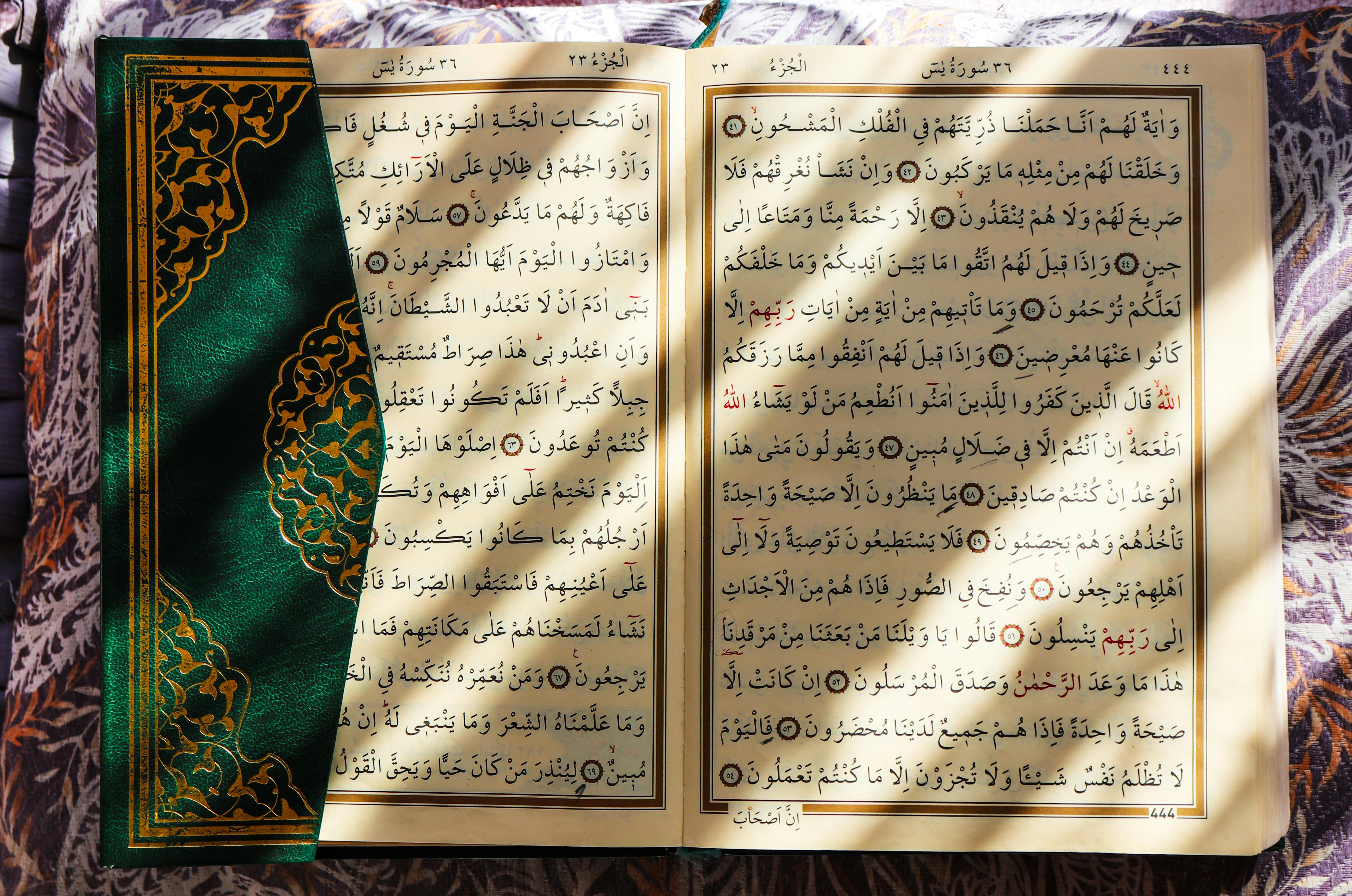 قراءة القرآن