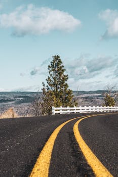 宁静优美的道路旁，黄线与松树相映，清澈的蓝天下，远山作为背景