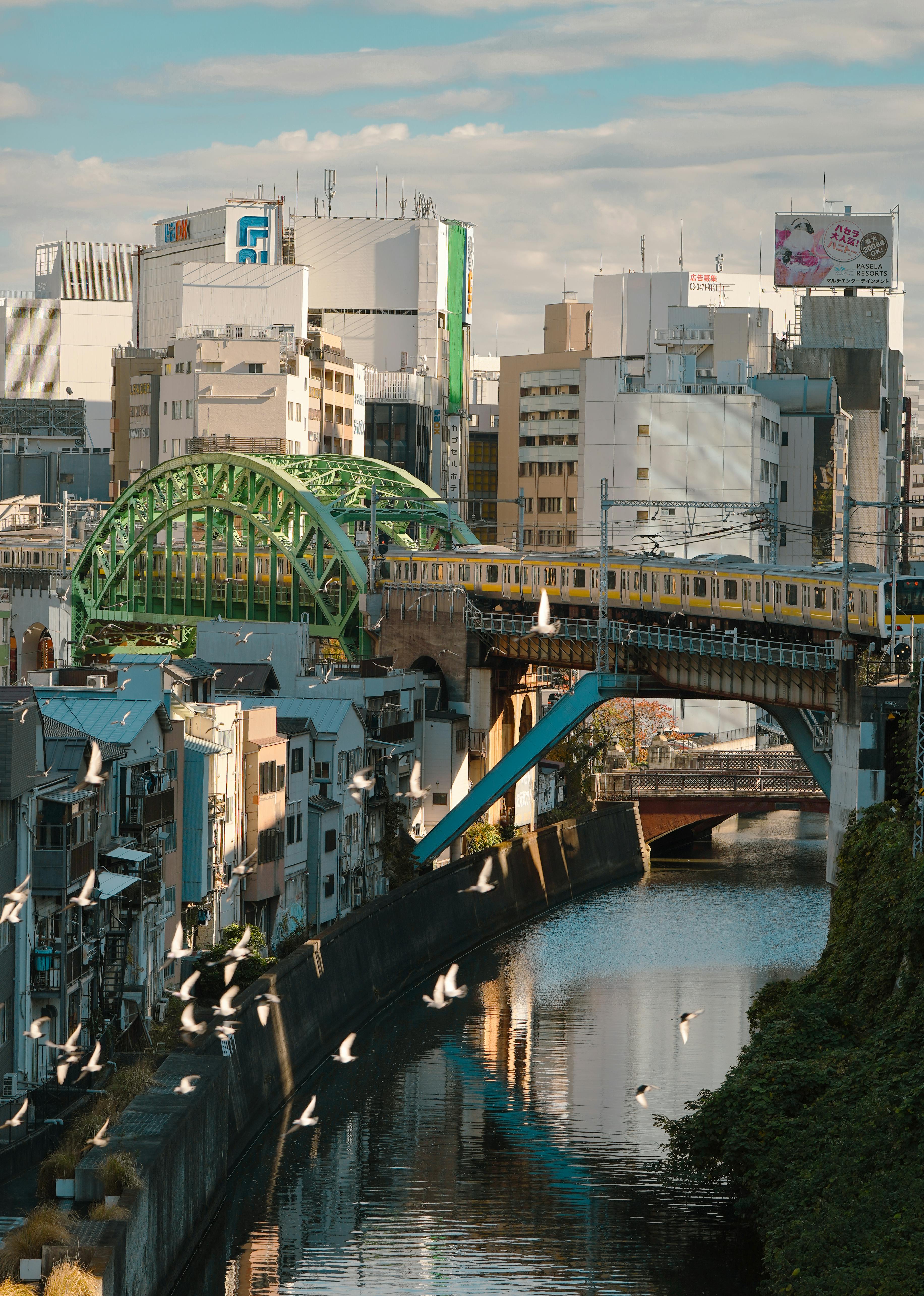 Scenic view of Tokyo city with colorful train crossing a bridge over the river. Birds flying by.