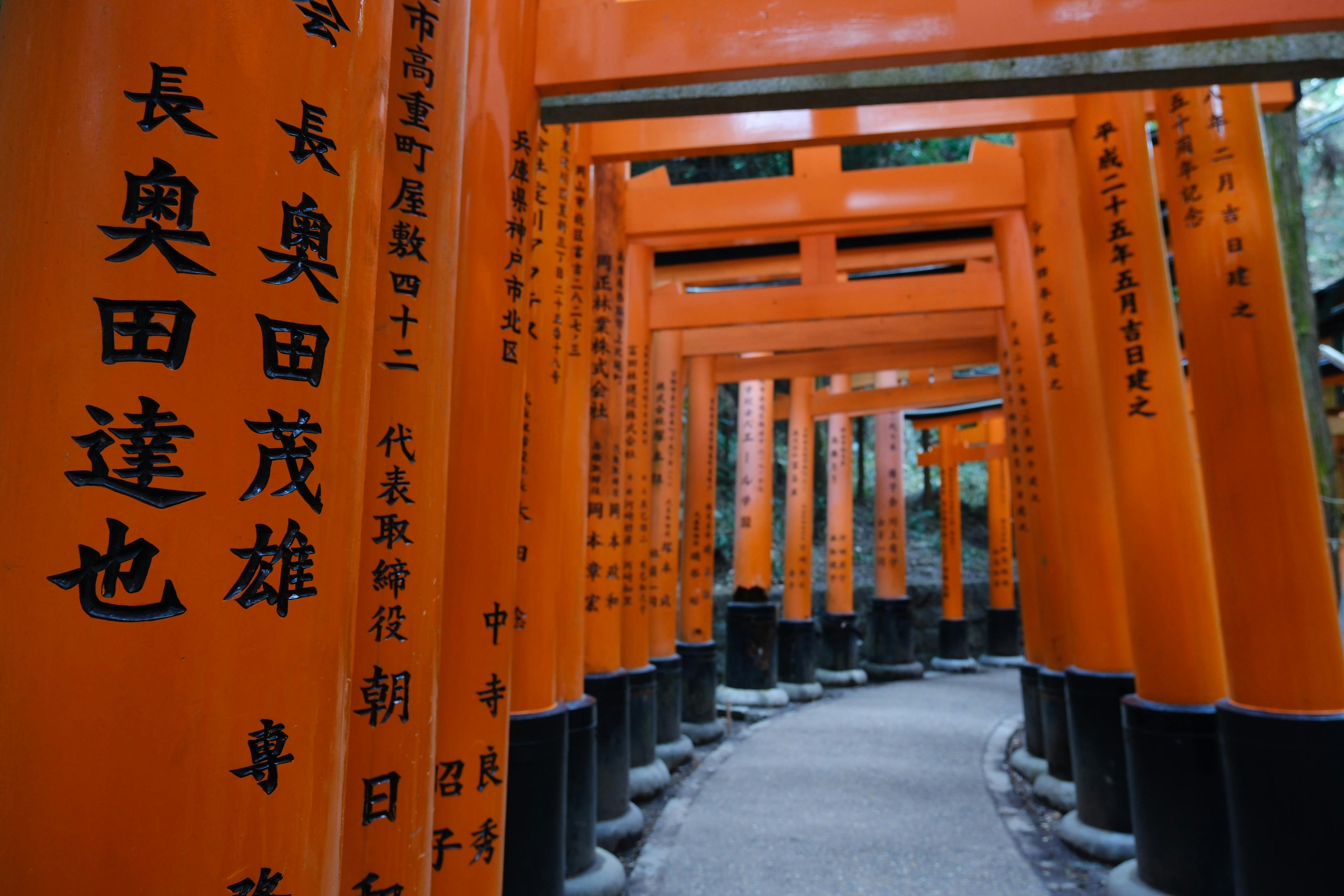 Panduan Lengkap ke Fushimi Inari Kyoto, Jepang: Hidden Gem yang Wajib Dikunjungi Wisatawan Indonesia