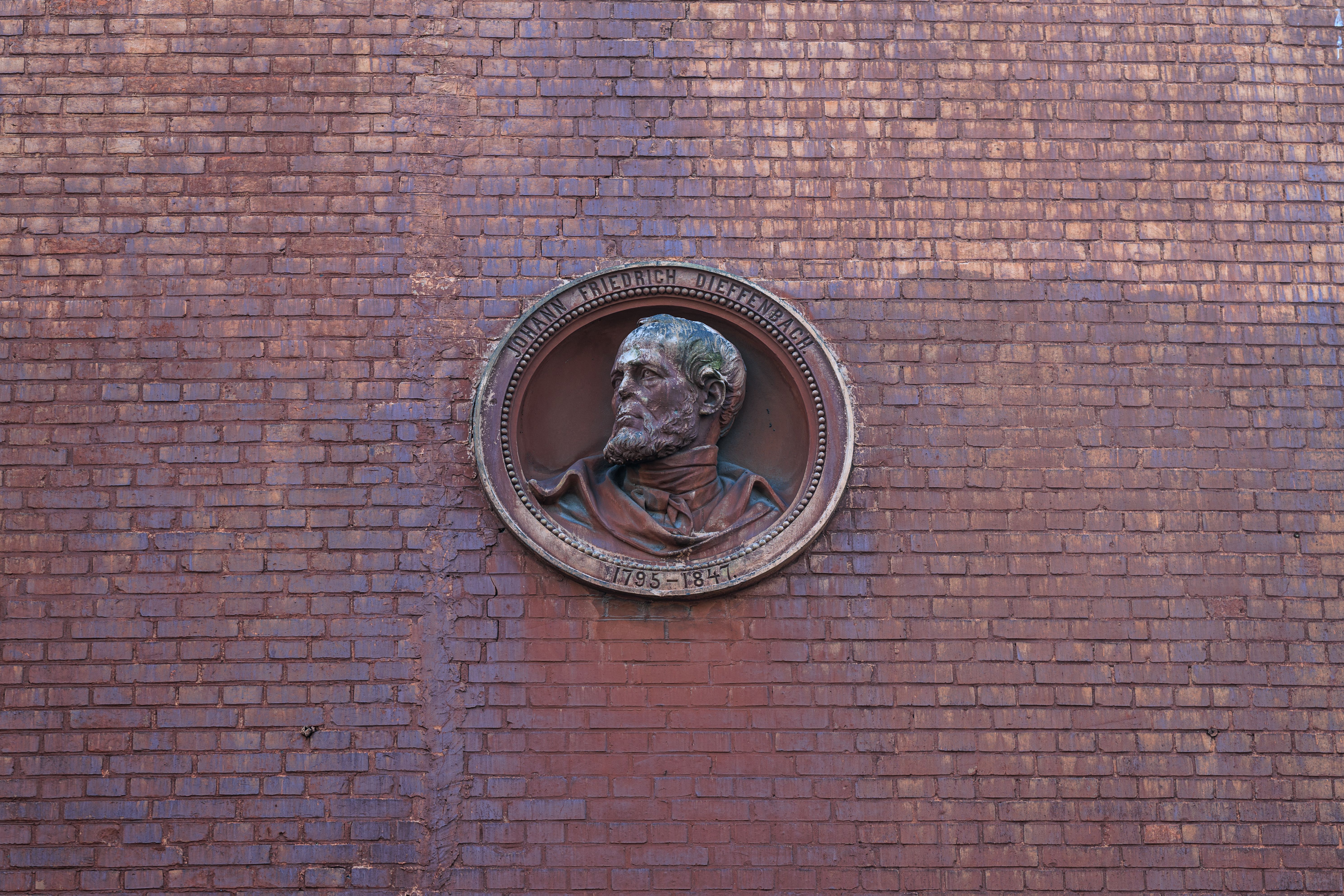 Bronze medallion on brick wall featuring a historical figure in Kaliningrad, Russia.