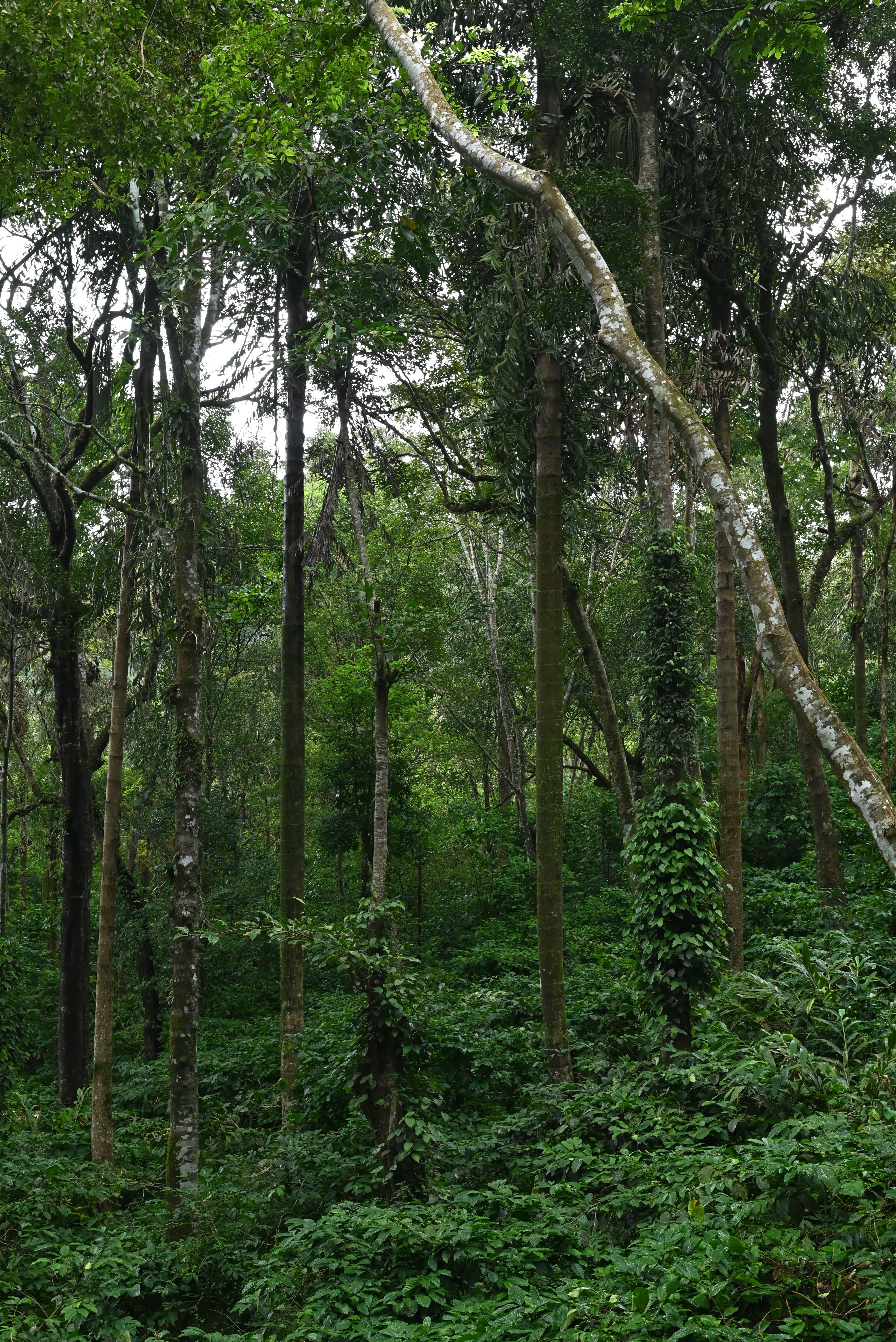 Environmental Resilience