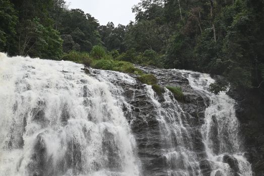 A breathtaking view of Abbey Falls cascading through lush greenery in Madikeri, India.