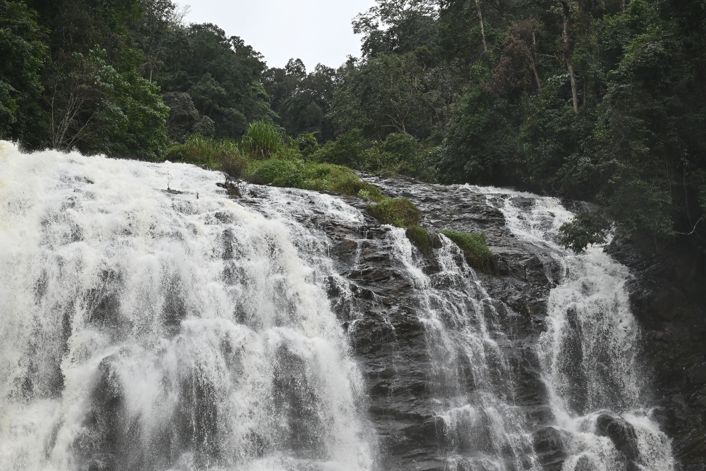 Hidden Coorg: Village Trails & Coffee Estates