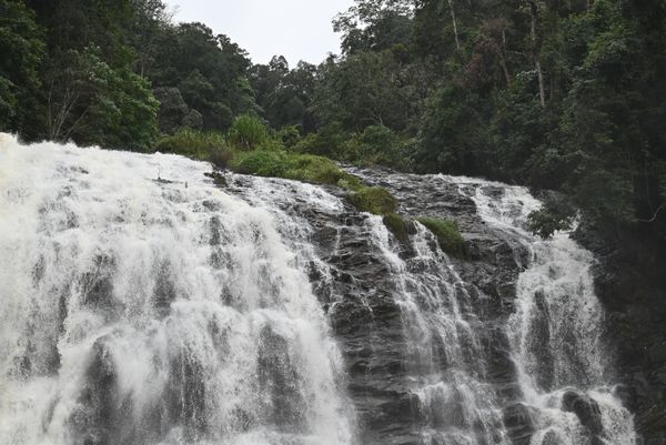 Sightseeing in Coorg