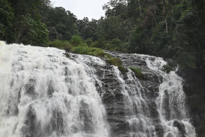 Breathtaking view of Abbey Falls cascading through lush greenery in Madikeri, India