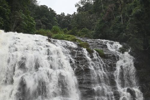 Free A breathtaking view of Abbey Falls cascading through lush greenery in Madikeri, India. Stock Photo