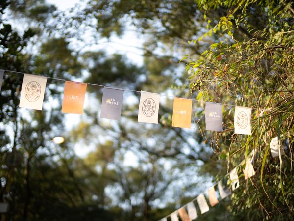 Car Flags, image 3 of 6