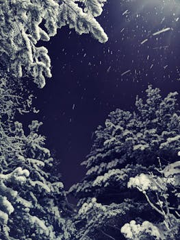 Captivating winter snowfall with snowcapped trees under a dark night sky, perfect for a seasonal background.
