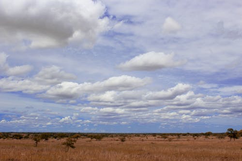 Immagine gratuita di deserto, fanilo, madagascar