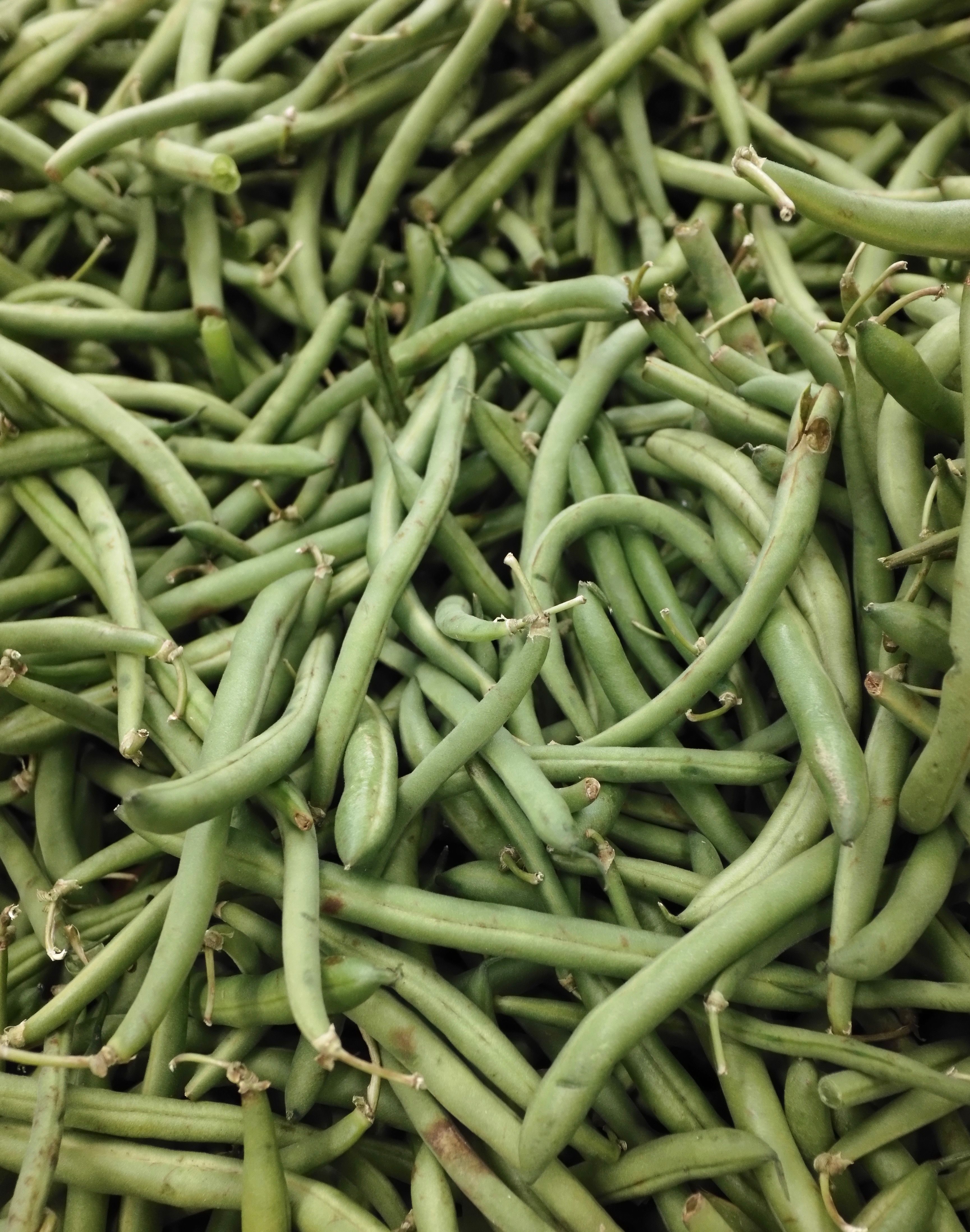 Easy Garden Green Beans