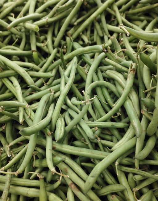 Easy Garden Green Beans Easy Garden Green Beans