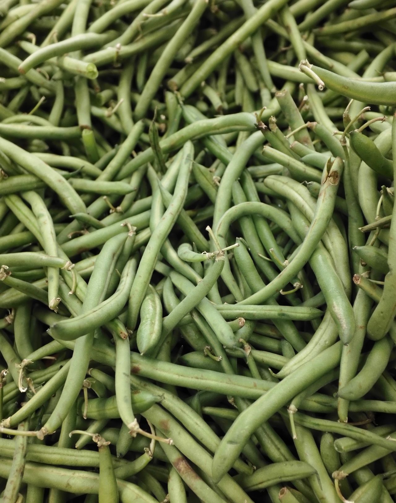 Close-up of fresh green beans piled together