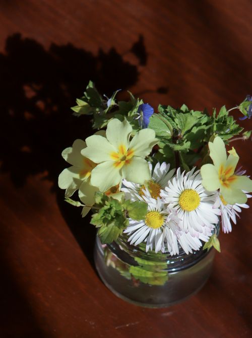 Free A close-up of a colorful spring wildflower bouquet in a glass jar, casting shadows on a wooden surface. Stock Photo