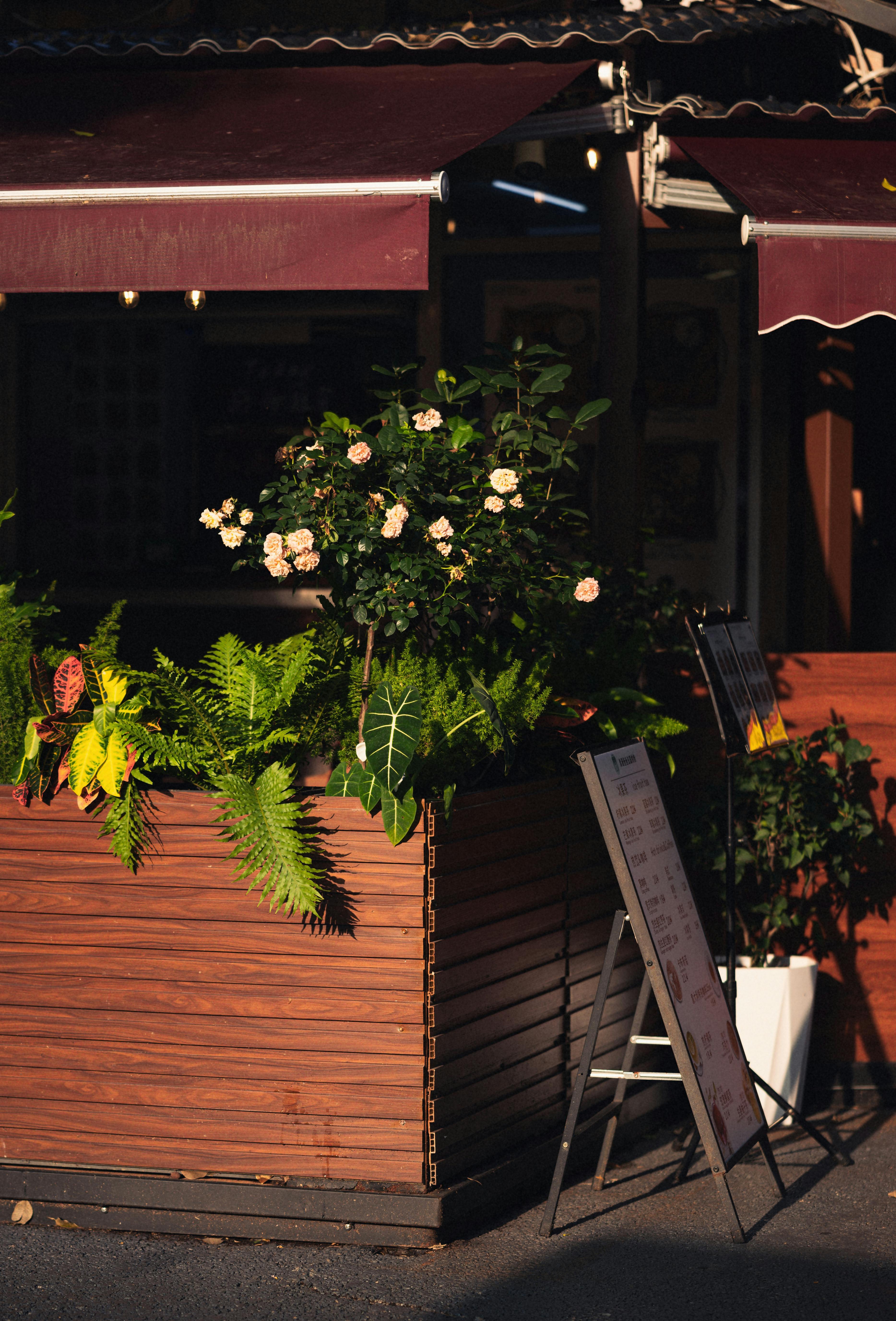 Gratuit Exteriorul unei cafenele însorite, cu plante luxuriante și decor din lemn, perfect pentru un cadru exterior confortabil. Fotografie de stoc