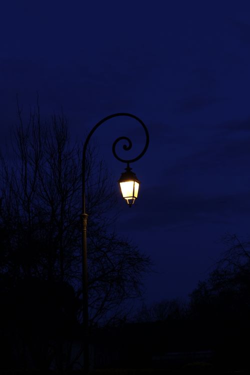 Free A lone street lamp illuminates under a calm twilight sky surrounded by silhouettes of trees. Stock Photo