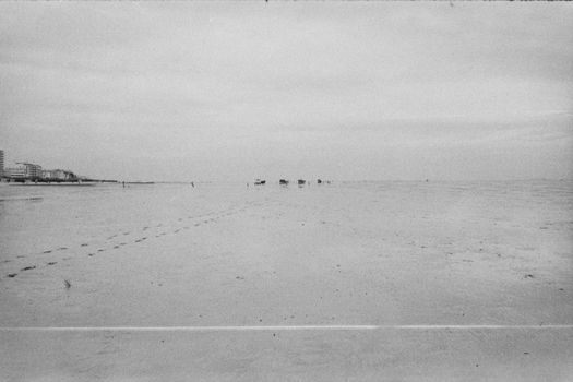 Expansive beach landscape with distant figures and footprints in black and white, emphasizing solitude.