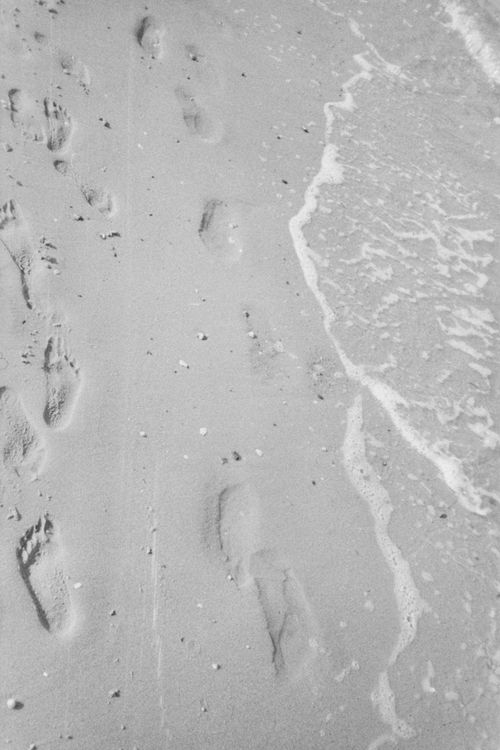 Free Monochrome image of footprints leading into ocean waves on a sandy beach. Stock Photo