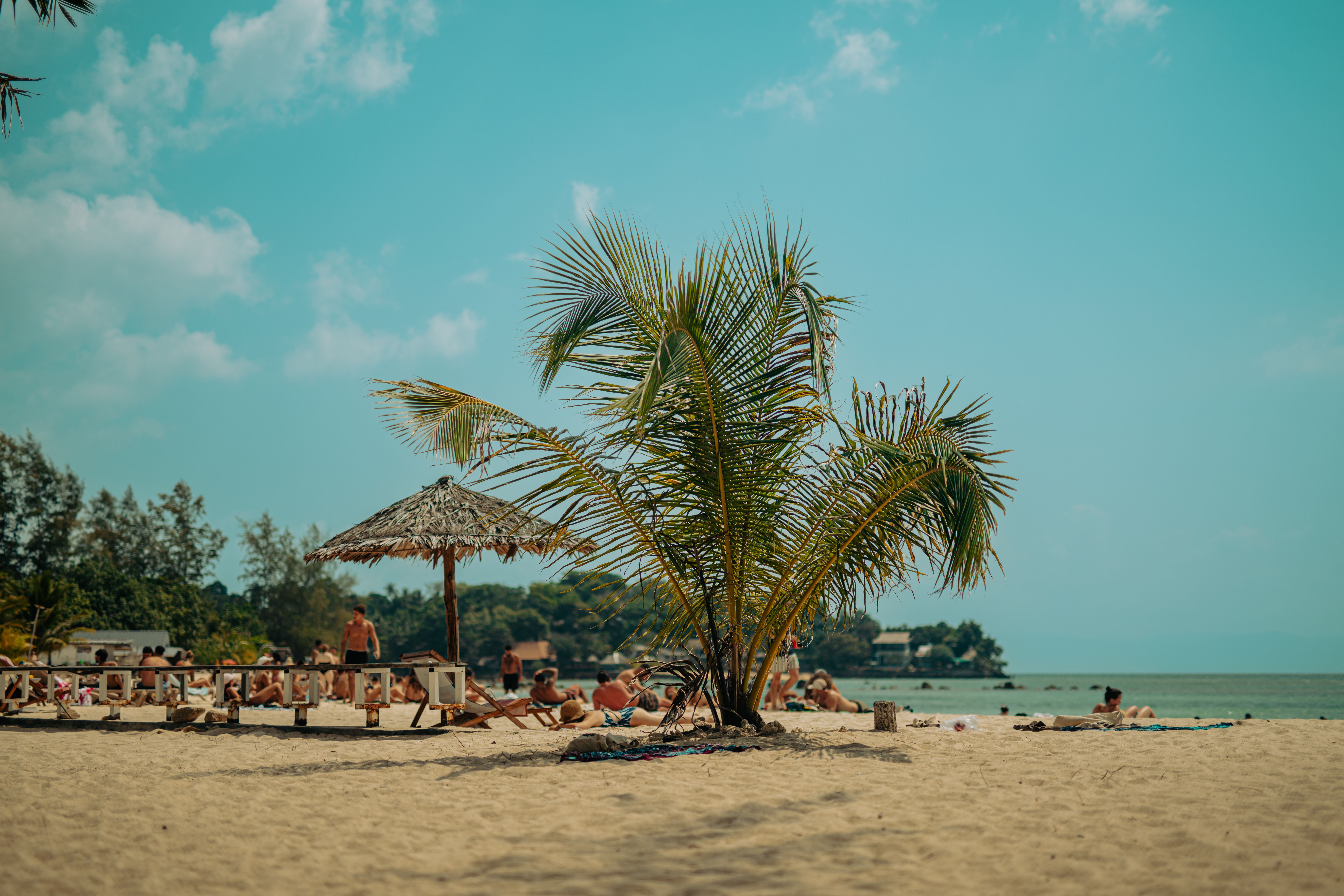  Should You Buy a Beach House? The Truth About Vacation Homes, From a Financial Planner 