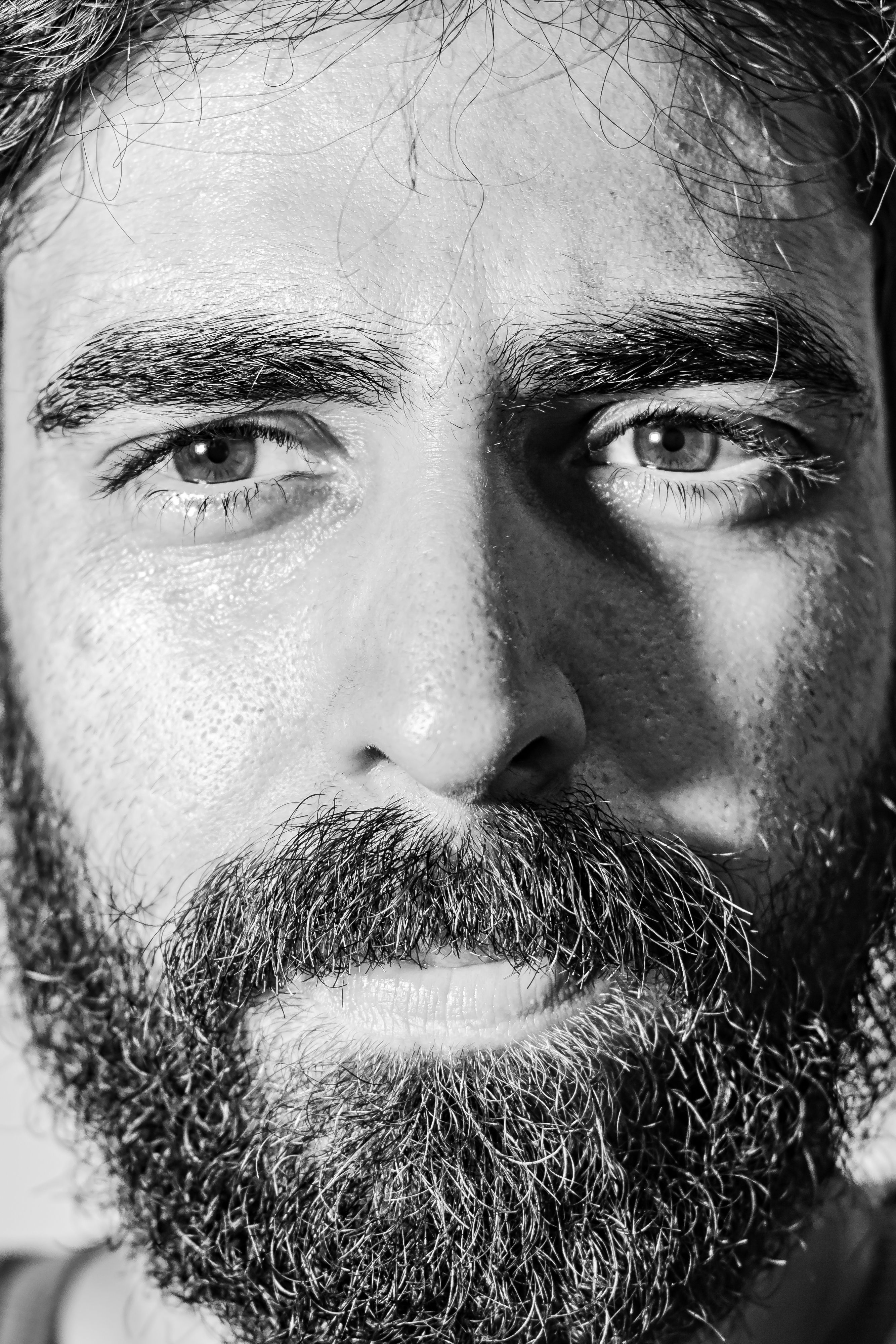 Black and White Portrait of a Bearded Man · Free Stock Photo