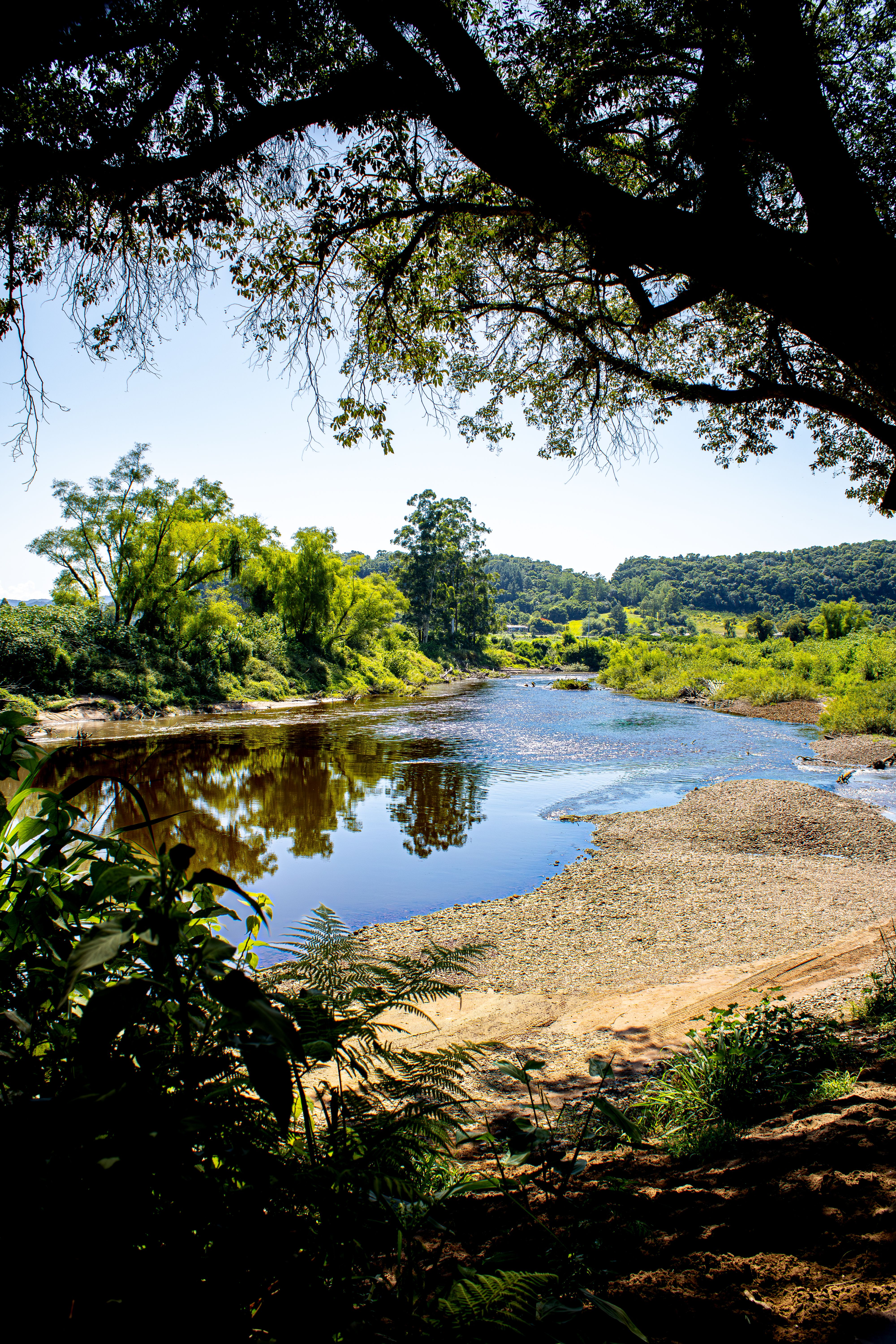 Scenic view of the Cai River surrounded by lush greenery in Bom Princípio, Brazil.