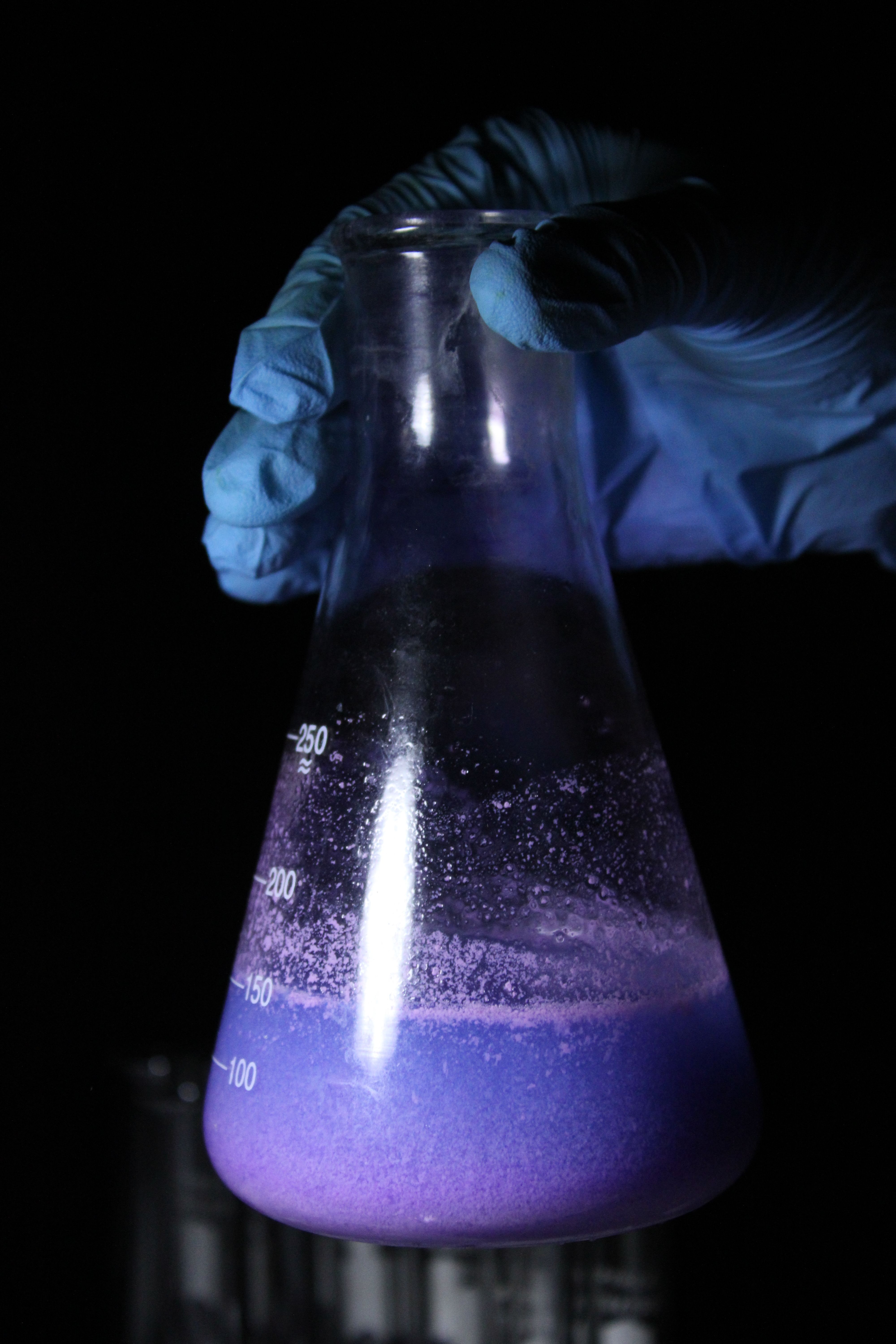 Close-up of a scientist's hand in gloves holding an Erlenmeyer flask containing a purple liquid.