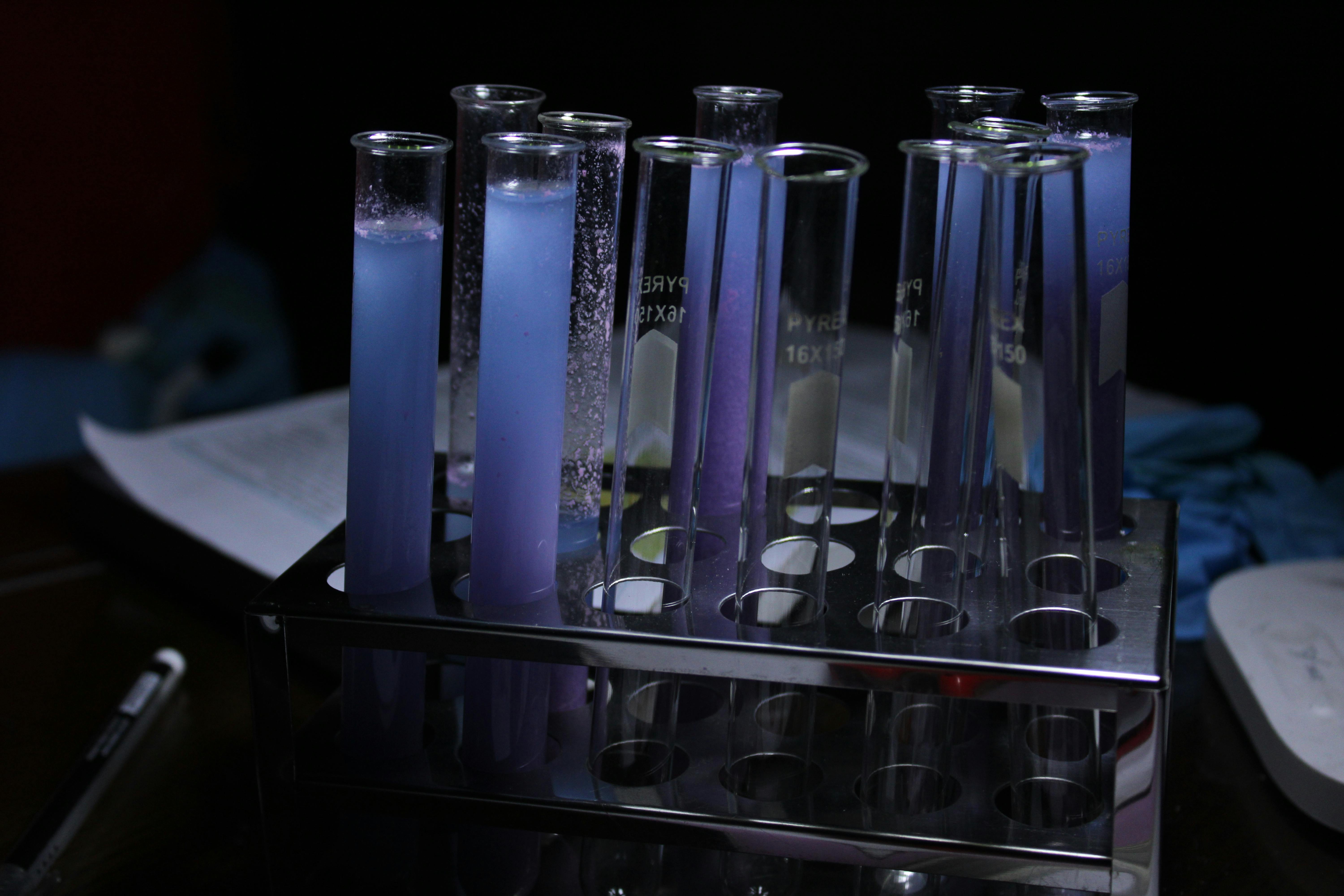 bezplatná Živá škála fialových roztoků ve zkumavkách během chemického experimentu. Základová fotografie