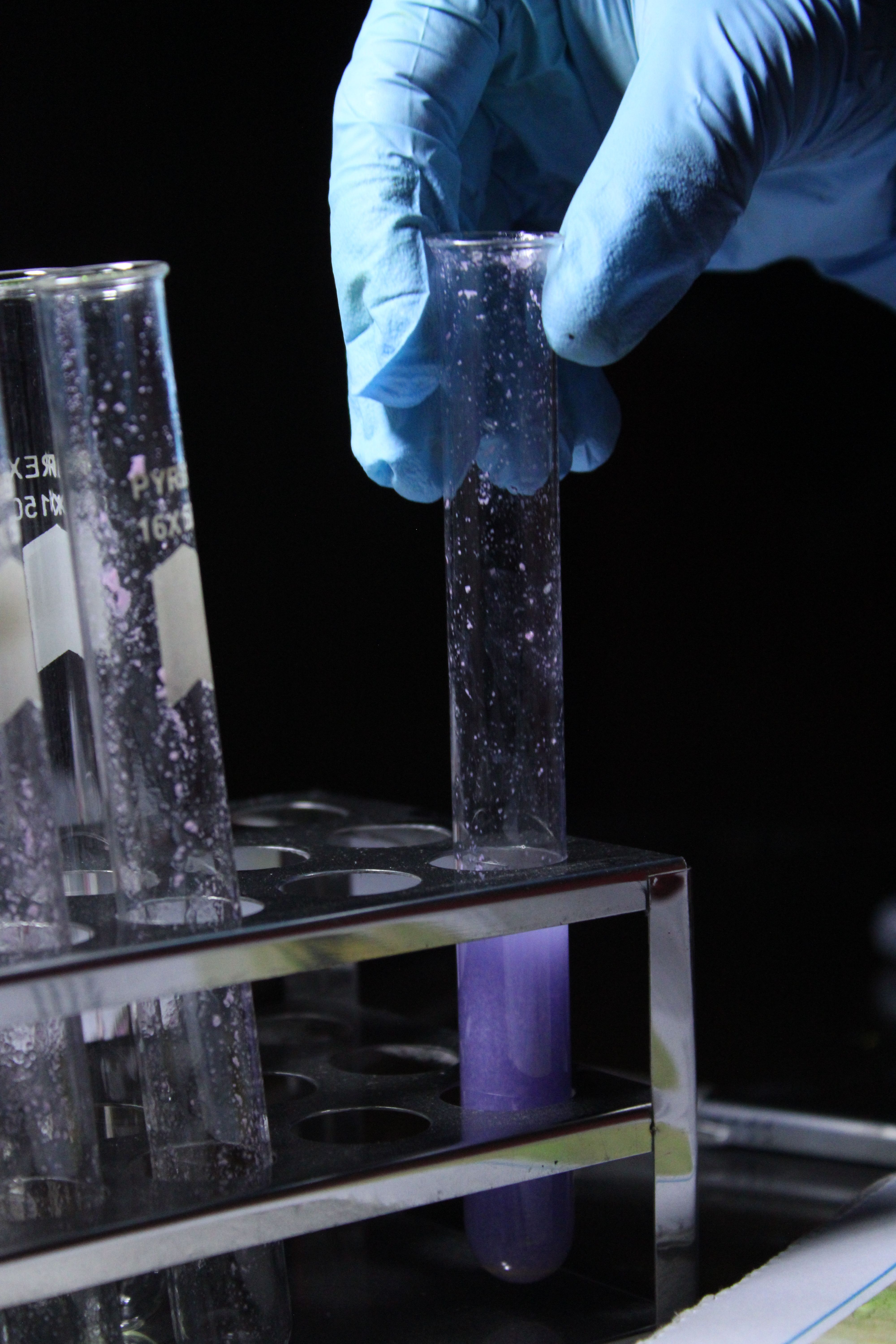 Gloved hand handling test tubes in a laboratory. Dark background creates focus.