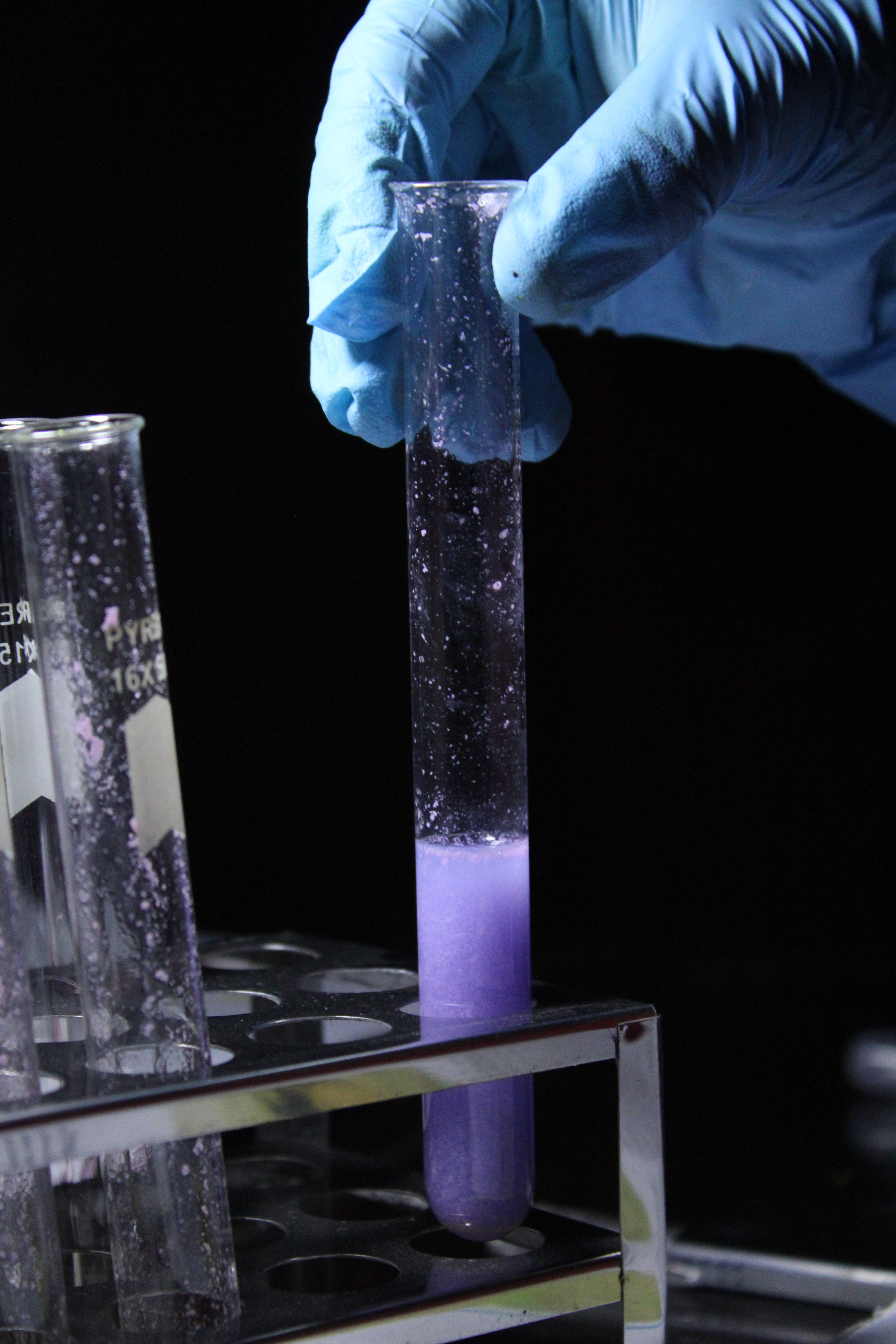 Gloved hand holds a test tube with purple liquid during a laboratory experiment.