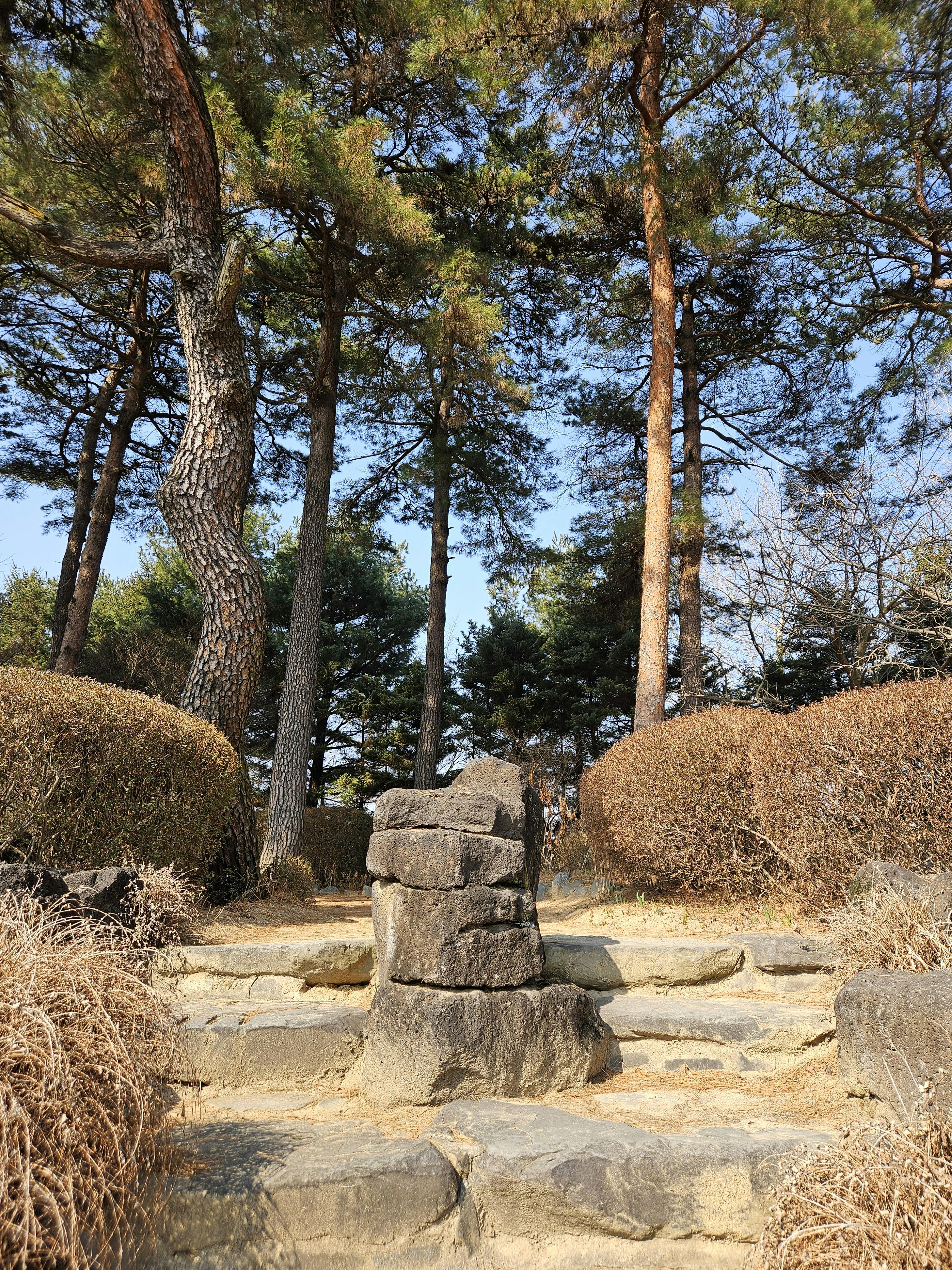 無料 韓国の静かな森林地帯に佇む、木々に囲まれた美しい石畳の小道。 写真素材