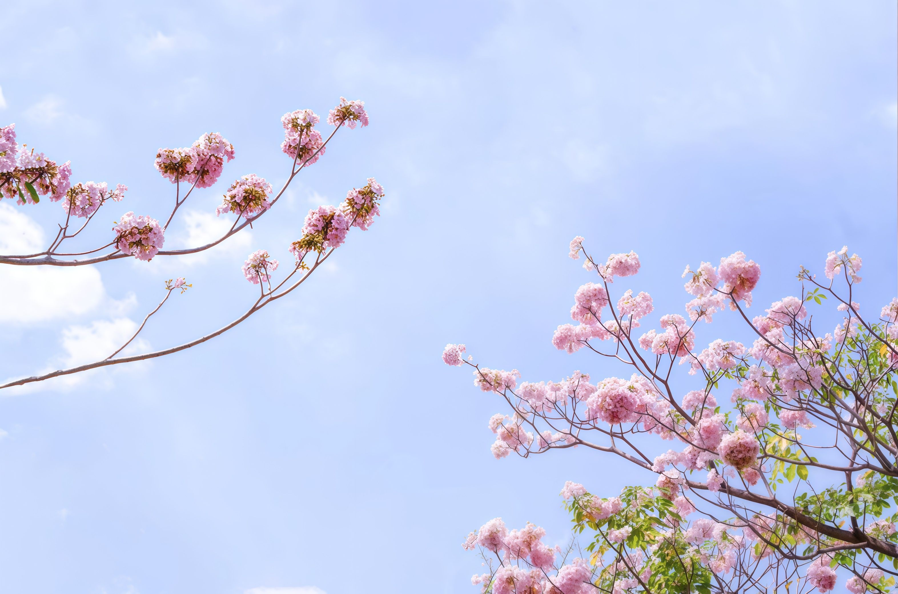 How to Beat Spring Allergies in 2026