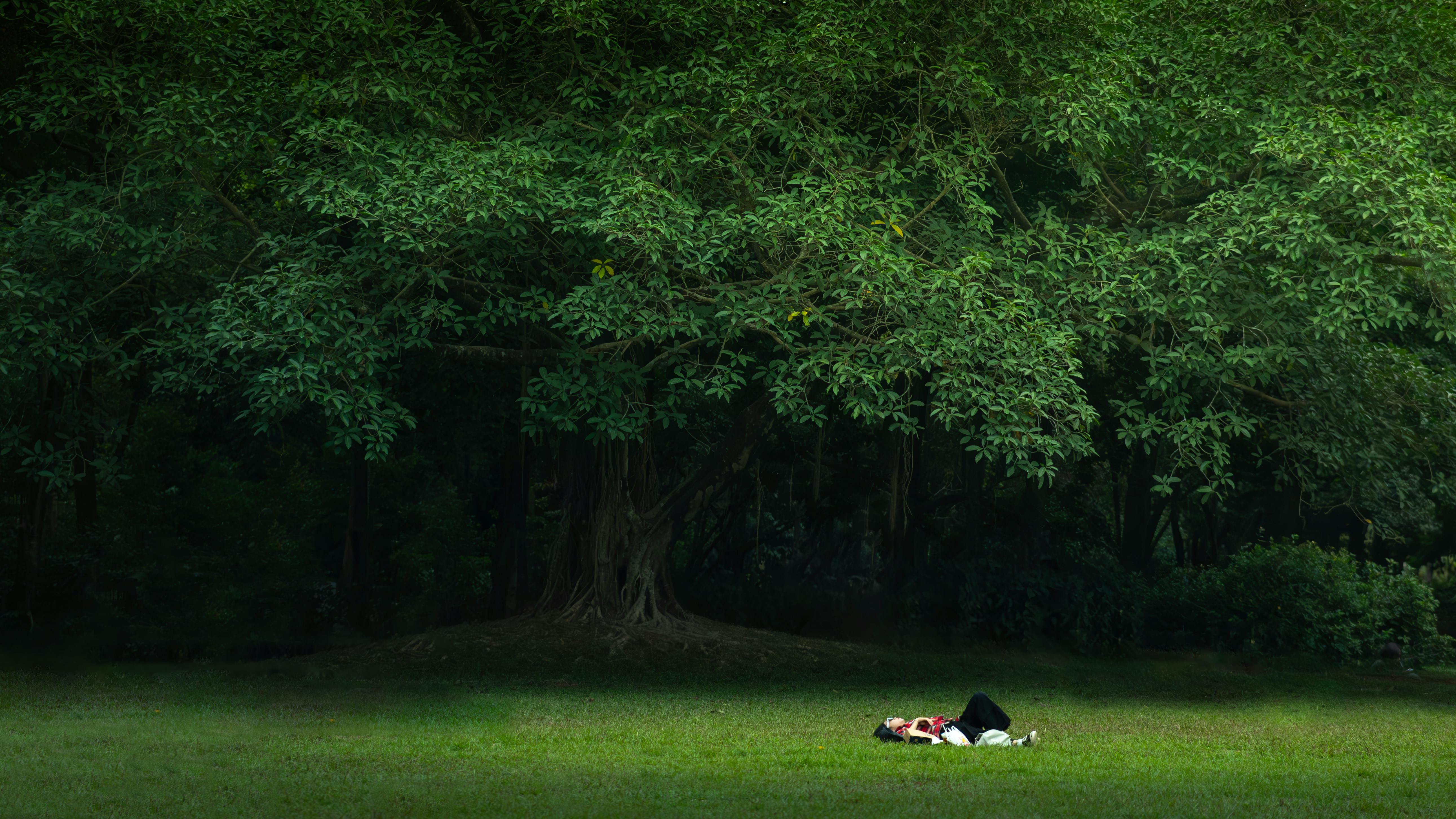 生活：花蓮5大靜謐慢活秘境，賞螢、香草浴讓靈魂深呼吸！