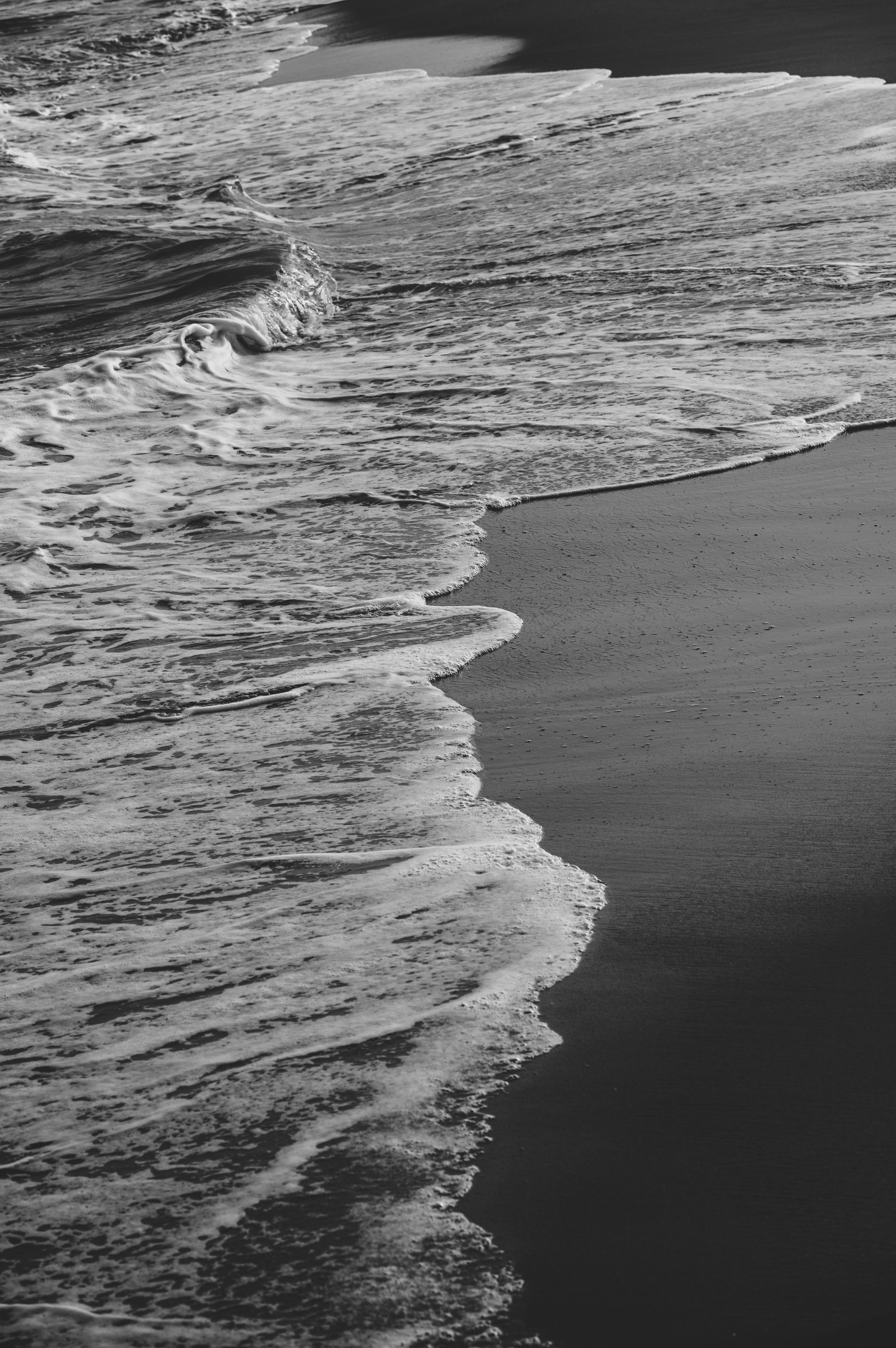 Black and white photograph of the ocean and beach · Free Stock Photo