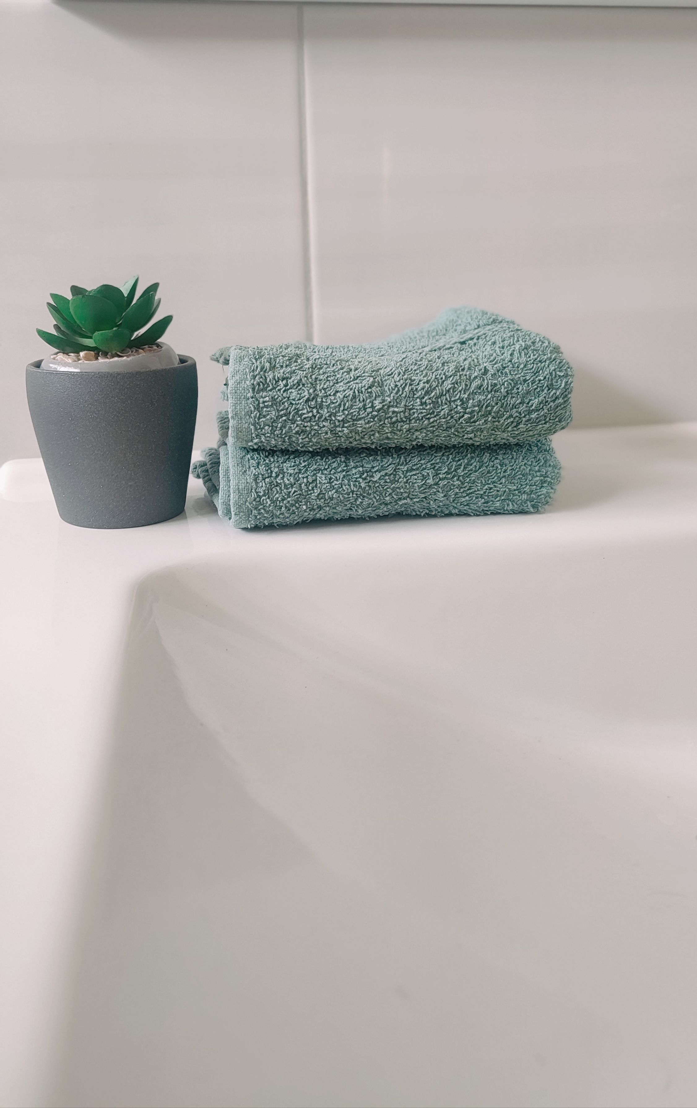 Succulents For The Bathroom Photos, Download The BEST Free Succulents For  The Bathroom Stock Photos & HD Images
