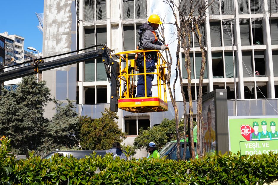 Worker on aerial platform pruning tall trees beside a building — pruning tall trees in Surrey BC