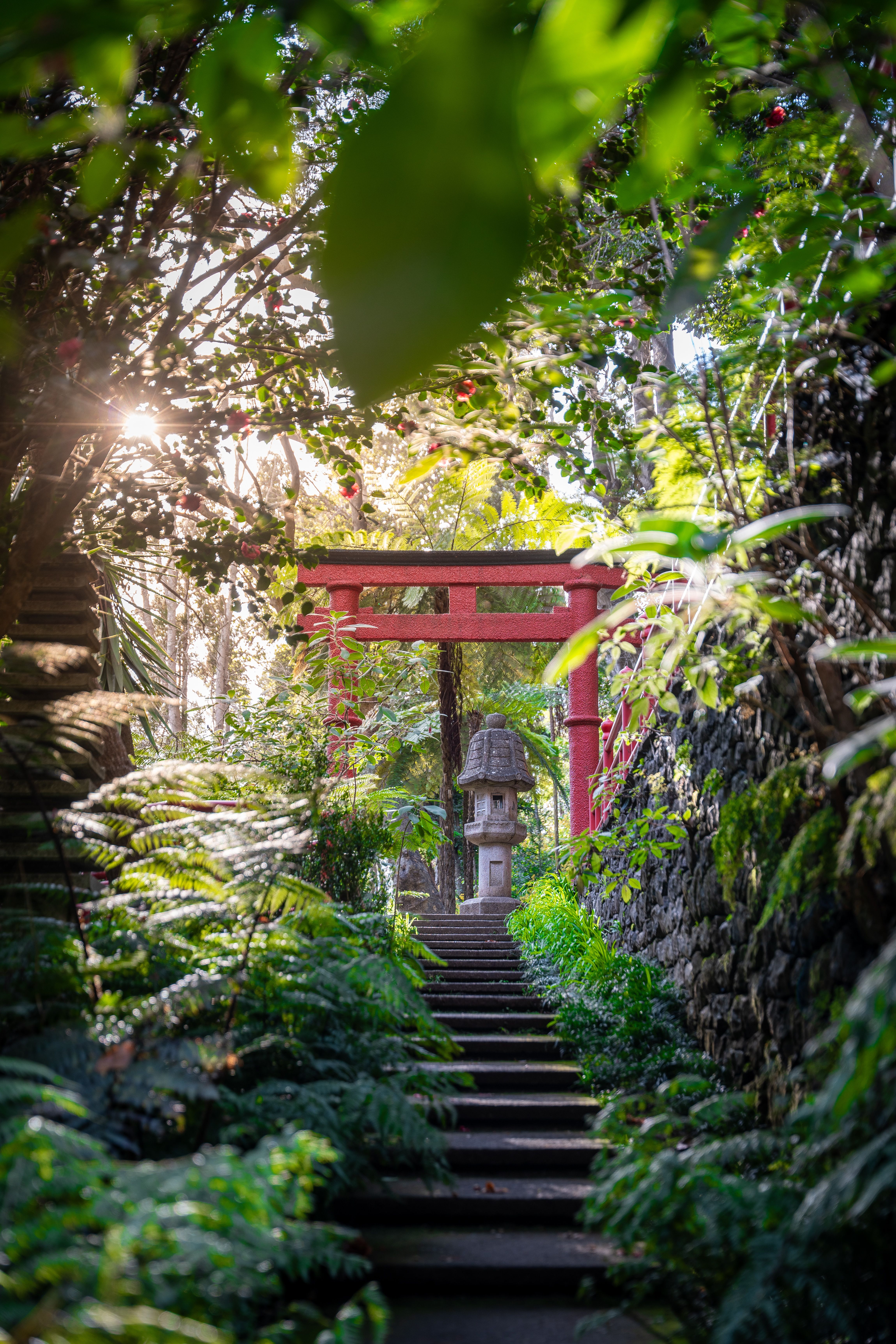 Serene Pathway in Madeira's Japanese Garden · Free Stock Photo