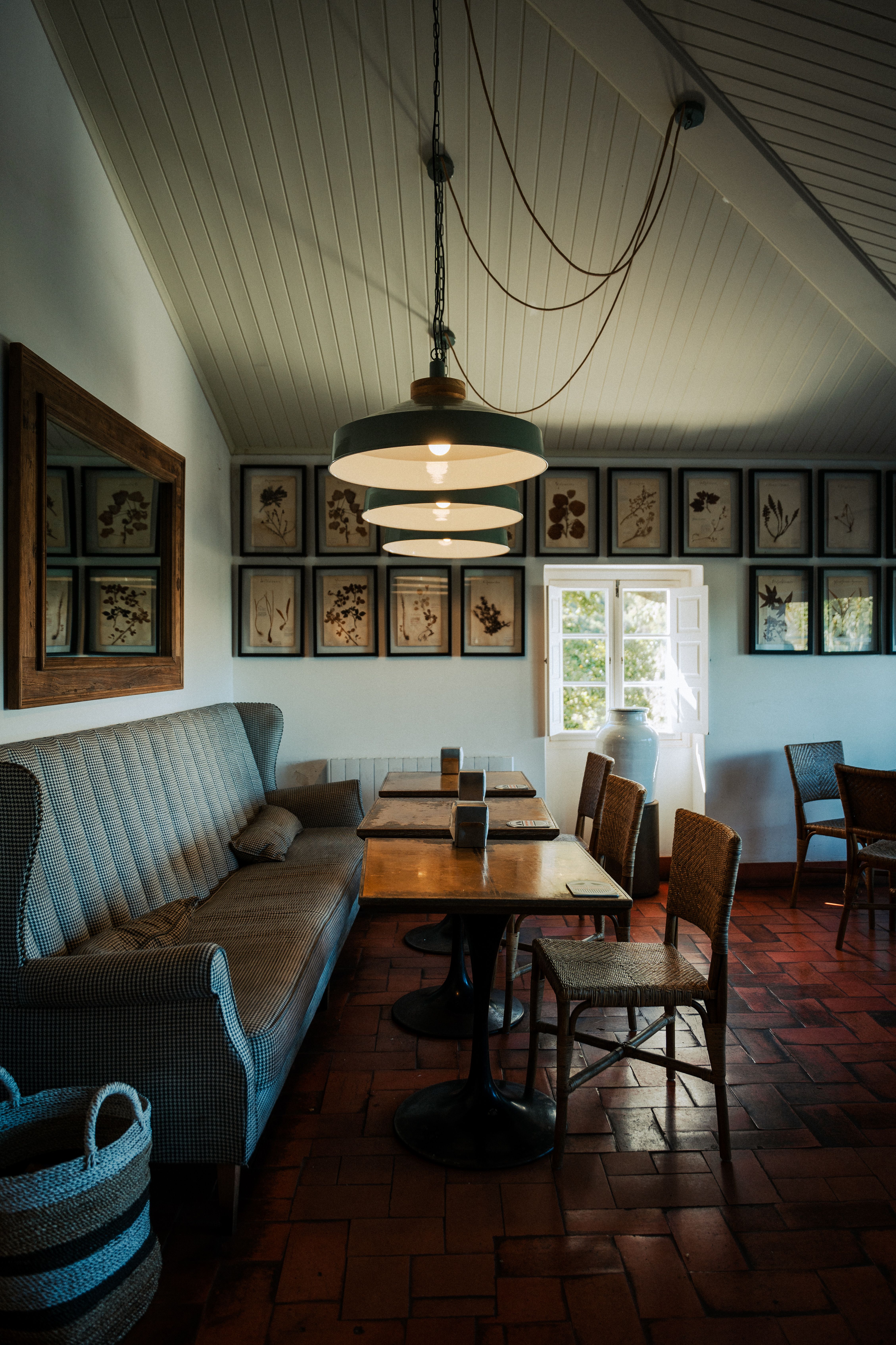 Inviting interior of a rustic cafe in Madeira, Portugal with natural light and botanical decor.