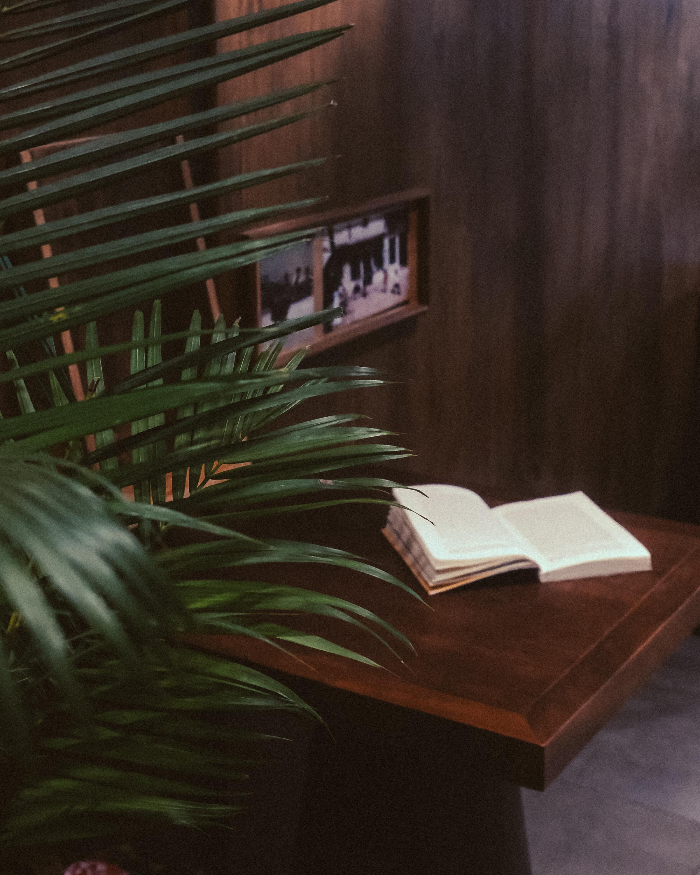 Gratis Un angolo interno caldo e accogliente con un libro aperto, un tavolo di legno e una pianta rigogliosa. Foto a disposizione