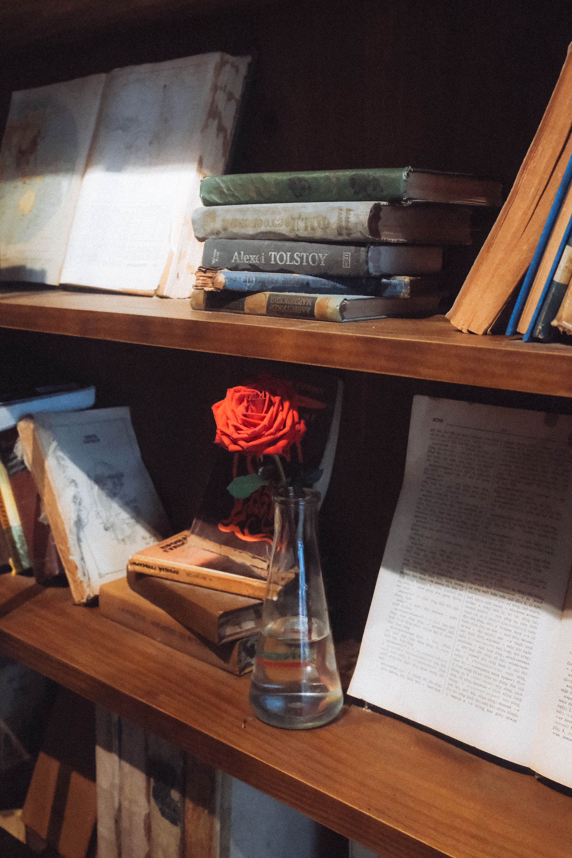 A vintage wooden bookshelf in a cozy room with classic books and a red rose in a glass vase.