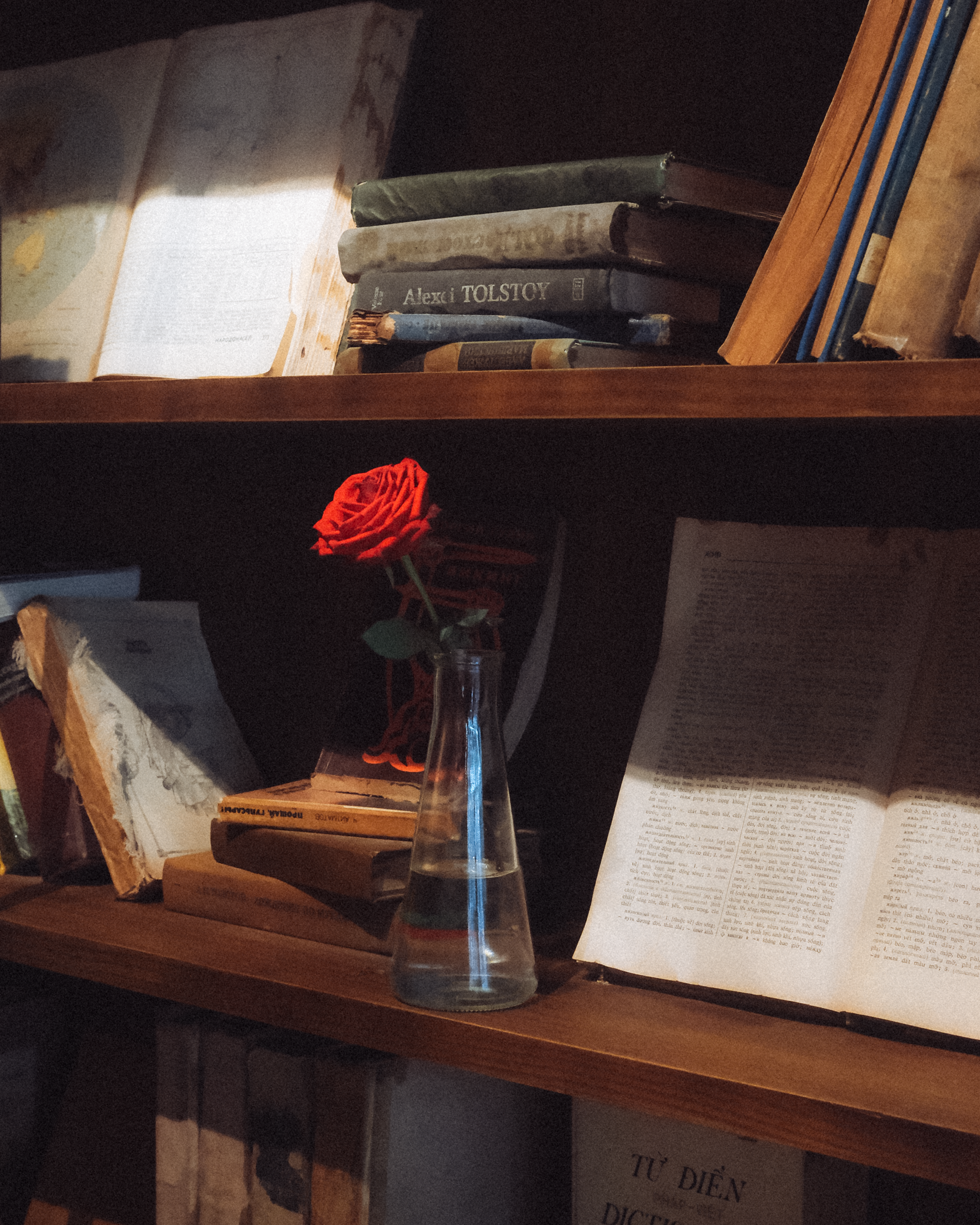 Cozy vintage bookshelf with a red rose in a vase, beautifully lit in a warm setting.