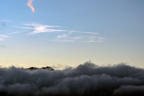 Free stock photo of dawn, foggy morning, light