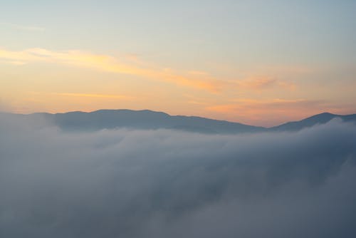 Free stock photo of dawn, foggy morning, morning