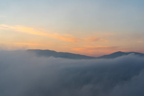 Free stock photo of dawn, foggy morning, morning