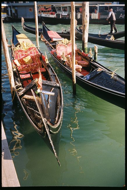 Colorful gondolas moored at a dock in a sunlit Venetian canal, Italy.